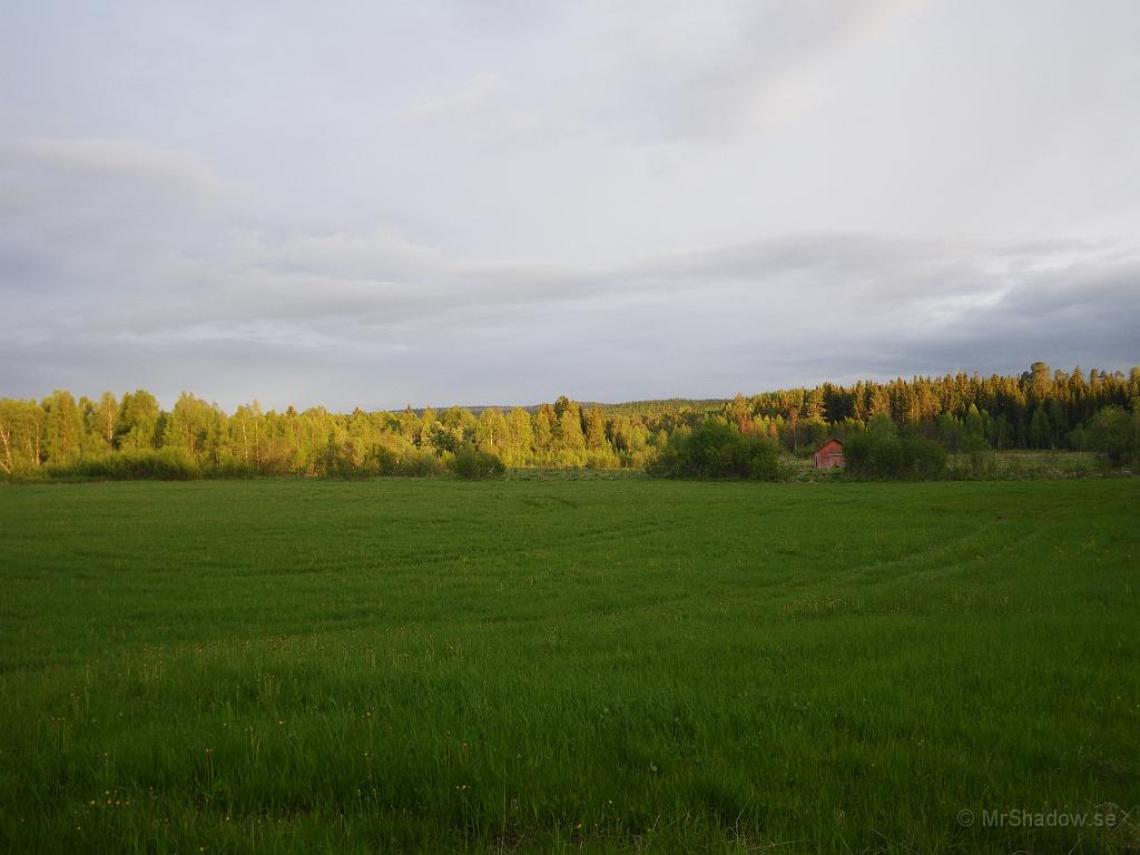 IMGP3592.JPG - Här har klockan blivit 21:46 och solen skiner ännu på skogsbrynet söder om ladan