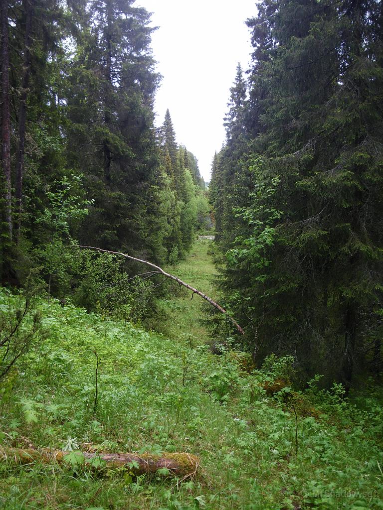 IMGP3616.jpg - Vilka härliga färger det är när det är lite fuktigt..