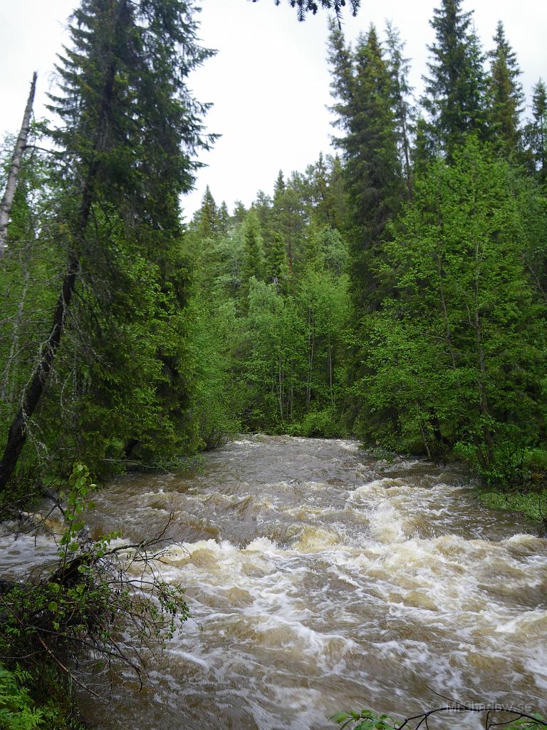 IMGP3619.jpg - Det har ju kommit lite regn sista dygnet, ca 75 mm vid Slåttet, så att Åringsån är ganska strid är inte oväntat.