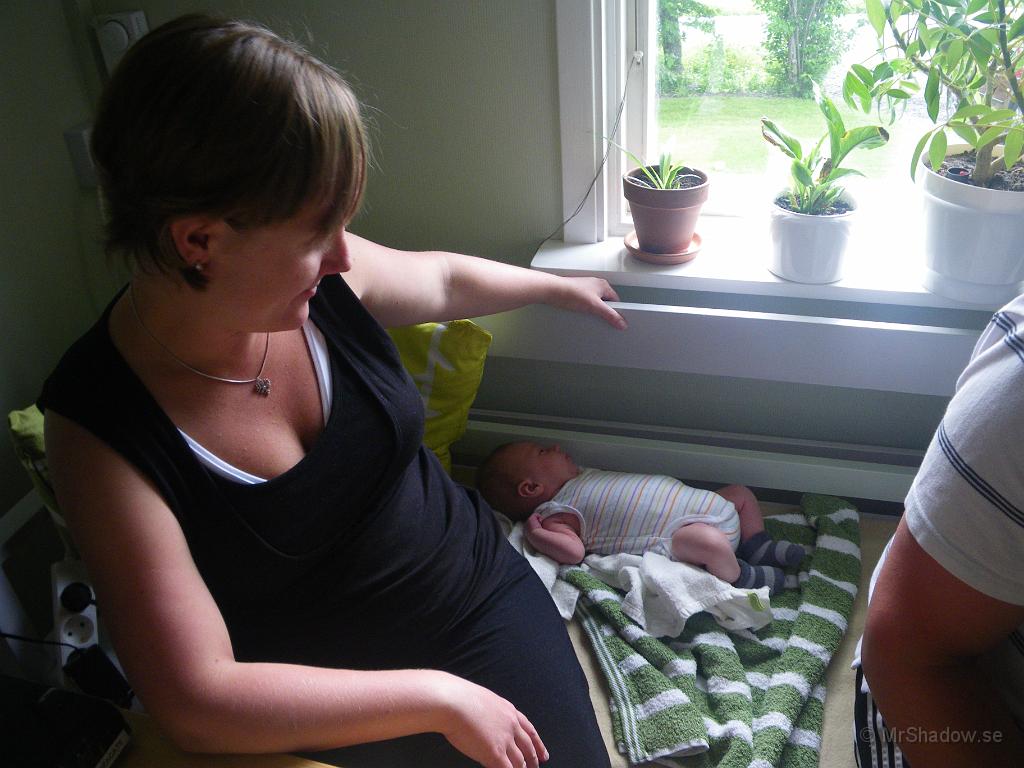 IMGP3720.JPG - Det tar nog några år innan han växt i den soffan..