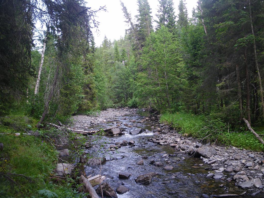 IMGP3857.JPG - Åringsån är nu inte mer än en liten bäck..