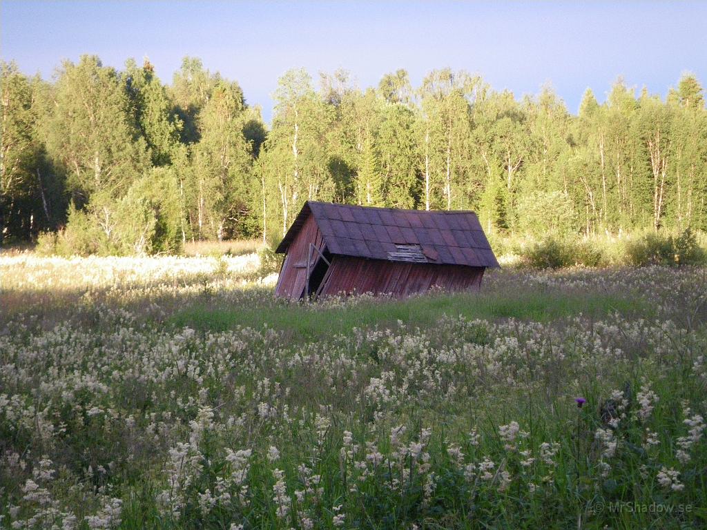 IMGP3900.JPG - Ladan verkar inte vara helt i form och visst har den vikit ihop sig lite till ?? I vart fall har takplåtarna börjat på att ge sig..