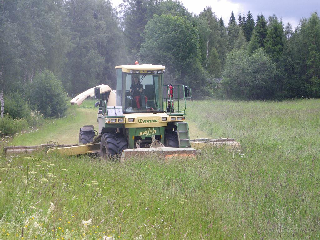 IMGP3908.JPG - Så kom den i år också..