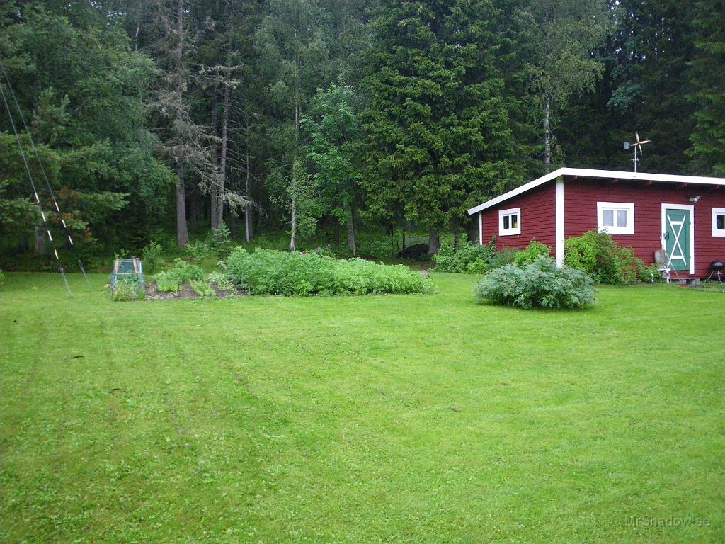 IMGP3914.JPG - 2010-07-26  Det ser bra ut på gården.
