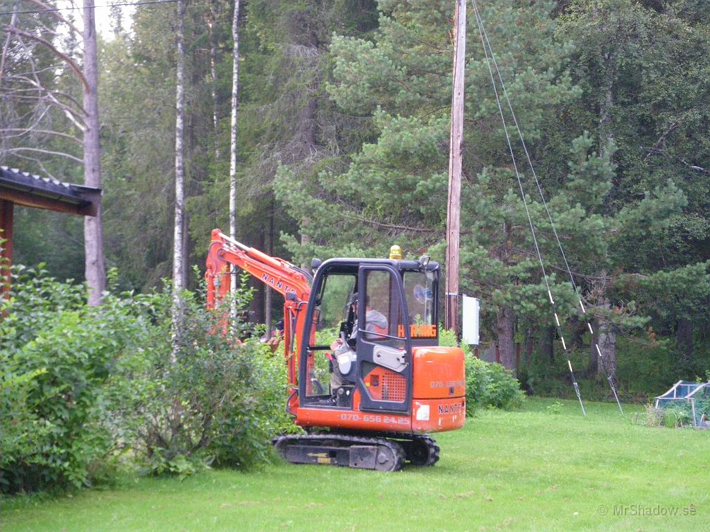 IMGP4023.JPG - Rakt över gräsmattan och in bland buskarna..