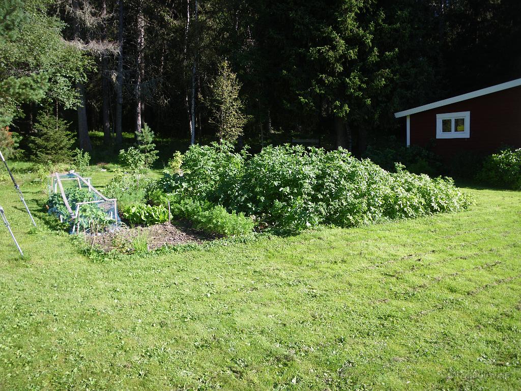 IMGP4085.JPG - Här ser det ju ut som vanligt