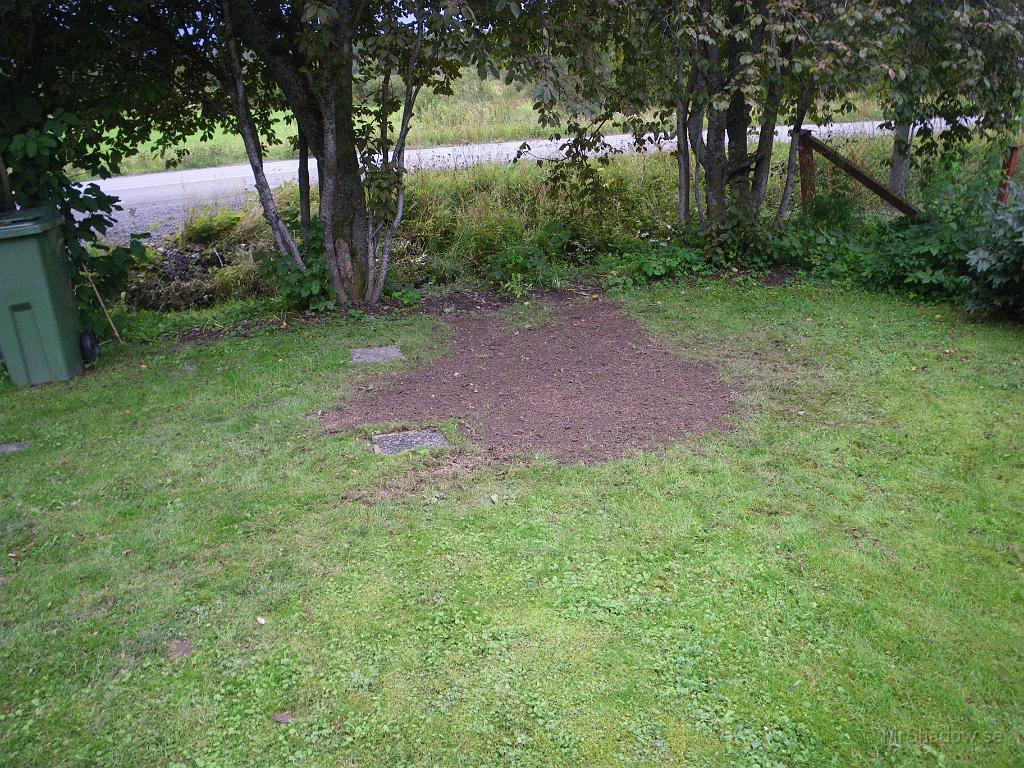 IMGP4126.JPG - Reparerat lite skador på gräsmattan och det kanske hinner bli gräs där i år.