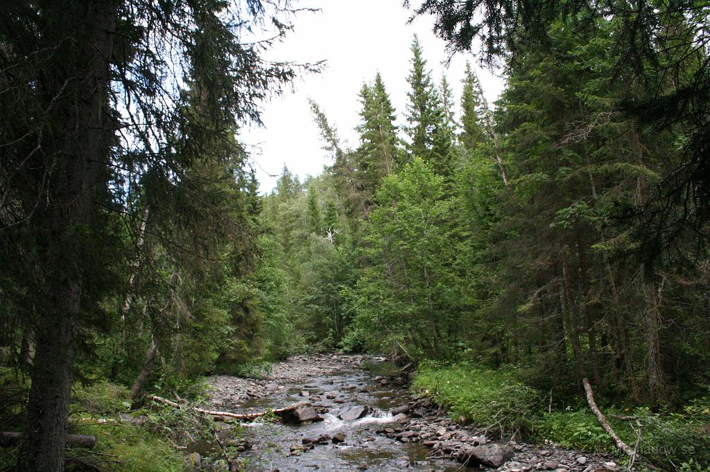 IMG_8723.JPG - Vid Åringsån är det lugnt. Inte så mycket vatten heller.