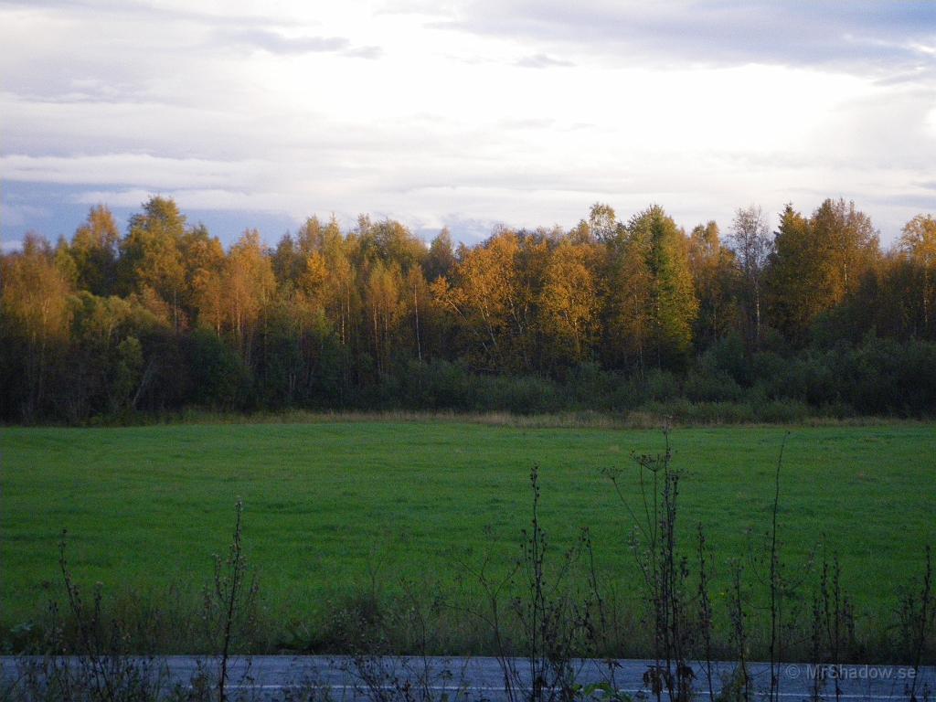 IMGP4282.JPG - Kvällens sista solstrålarna lyser upp lövträden mot sjön.