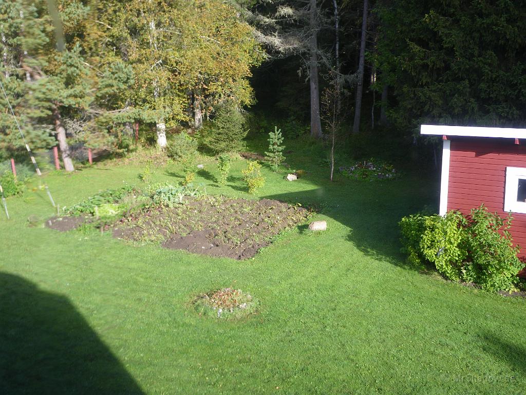 IMGP4283.JPG - 2010-09-13  Solen lyser fint över gården, men när potatisplasten tagits bort och pionbusken klippts ner, ser det lite tomt ut..