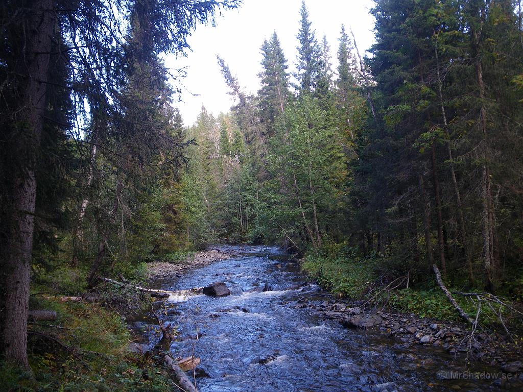 IMGP4347.JPG - Vid ån är det också höst och ovanligt mycket vatten..