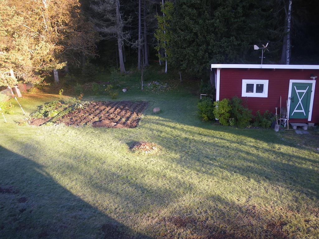 IMGP4447.JPG - Fortfarande frost i gräset.