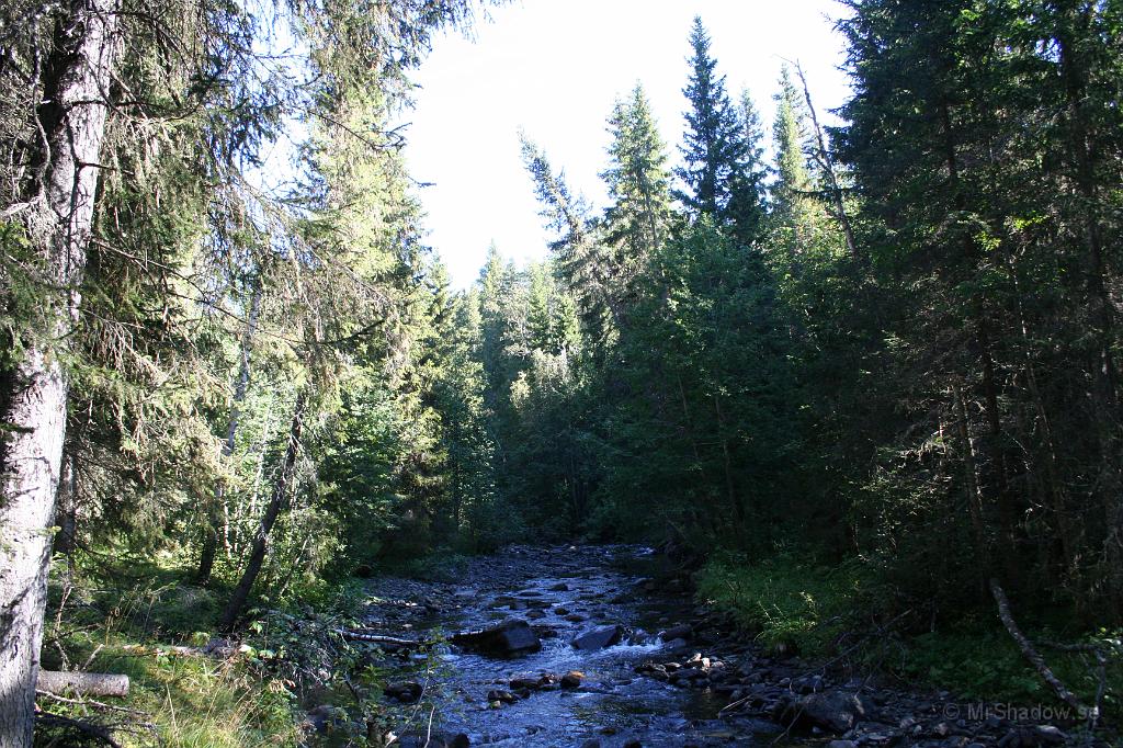 IMG_9286.JPG - Allt i sin ordning, men lite vatten och lite stökigt förmiddagsljus