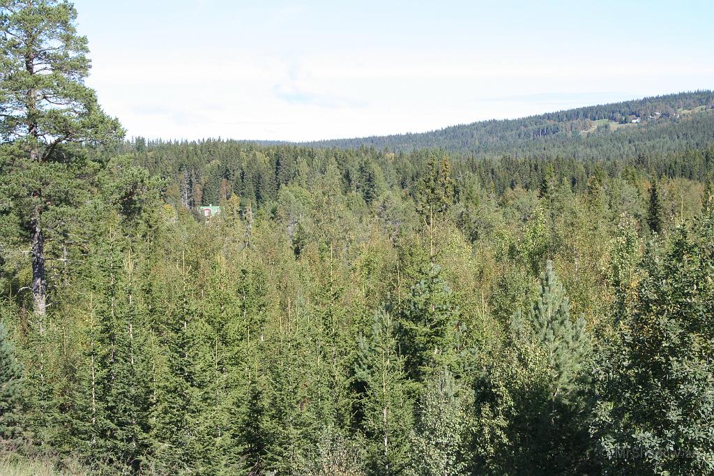 IMG_9291.JPG - Mer skog än vad det egentligen är.. Kameran KAN ljuga..