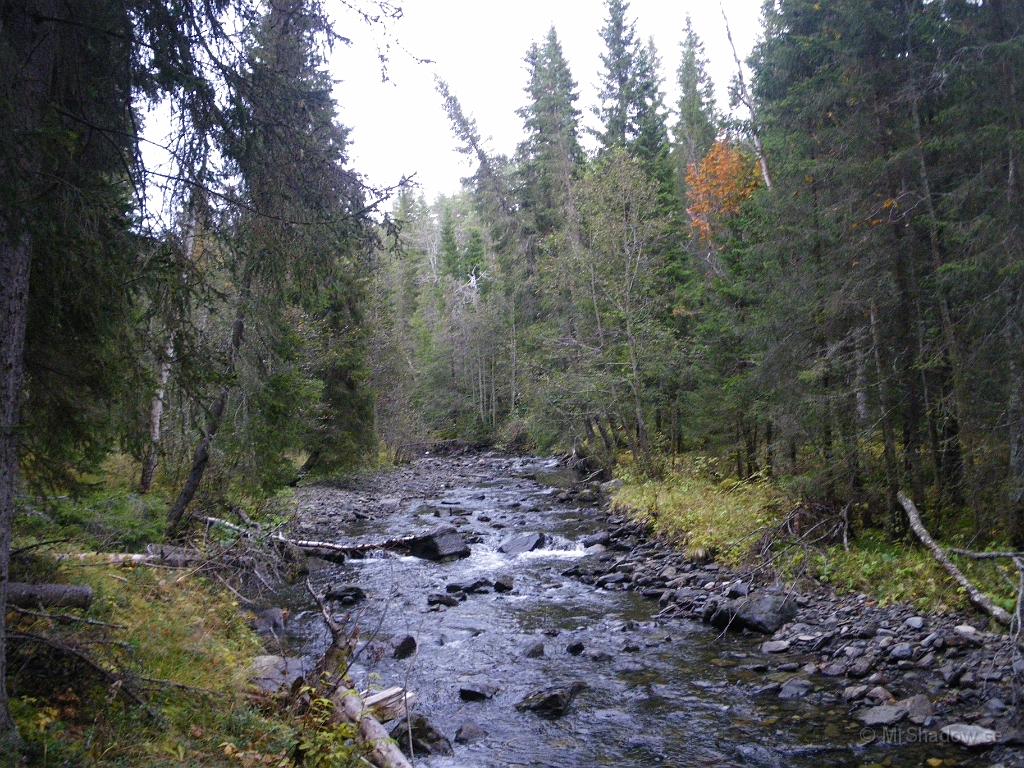 IMGP4667.JPG - Det ser allmänt grått ut vid "The Creek" också, om det inte vore för den där rönnen..