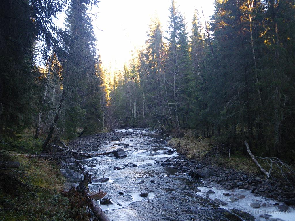 IMGP4847.JPG - Solen lyser på trädtopparna i vart fall, men längre ner ser det lite kallt ut.. Mesta av isen från förra helgen har dock smält bort..