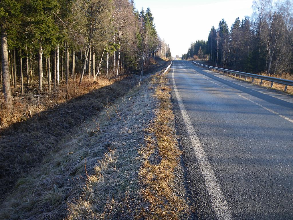 IMGP4857.JPG - Bilen gick över på fel sida av vägen och missade precis vägräcket med höger hjul.Spåret efter vänsterhjulen syns i gräset..