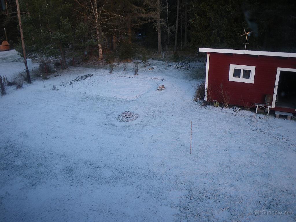 IMGP4885.JPG - 2010-11-07 Solen håller på att gå upp över den snötäckta gräsmattan