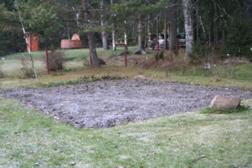 IMG_0905.JPG - Snart syns inte trädgårdslanden längre..