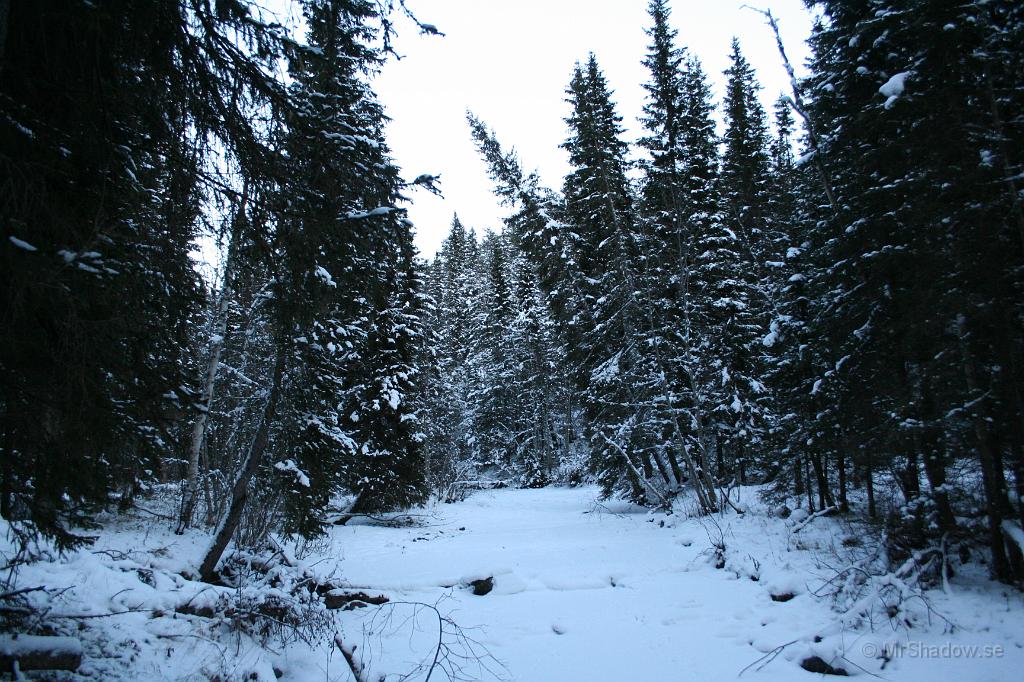 IMG_0985.JPG - Vid ån och "The Creek" är det fruset och vinter.