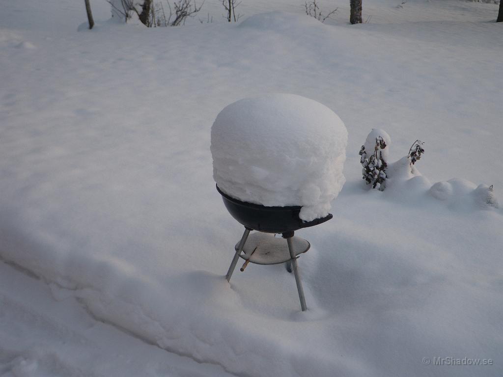 IMGP5345.JPG - Snöröjningen har fuskat med grillen, eller får snön agera isolering ??