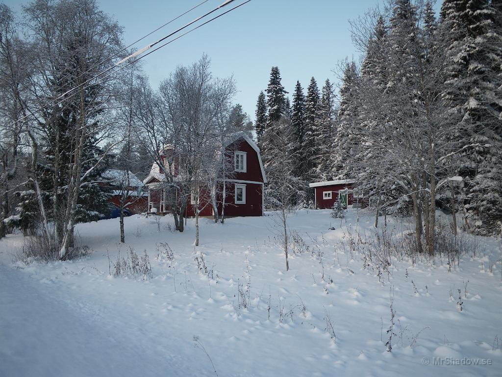 IMGP5350.JPG - Det ser kallt ut och det är det ju också...