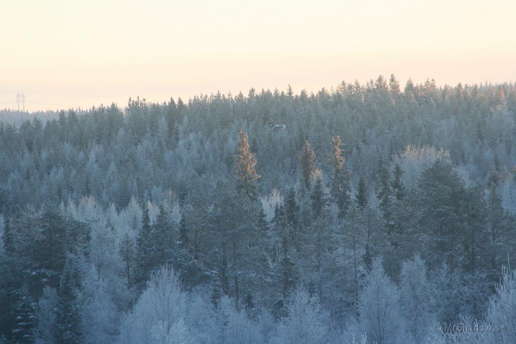 IMG_1111.JPG - Det gröna syns snart inte längre