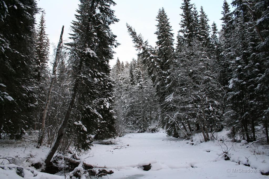 IMG_1117.JPG - Vid "The Creek" är det nu riktig vinter, det ser riktigt kallt ut. Det kanske är -20 också...