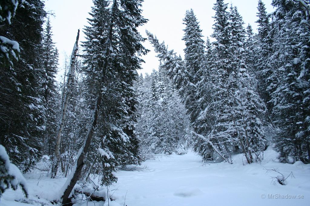 IMG_1255.JPG - Mera snö vid ån