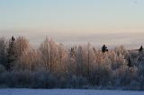 IMG_1107