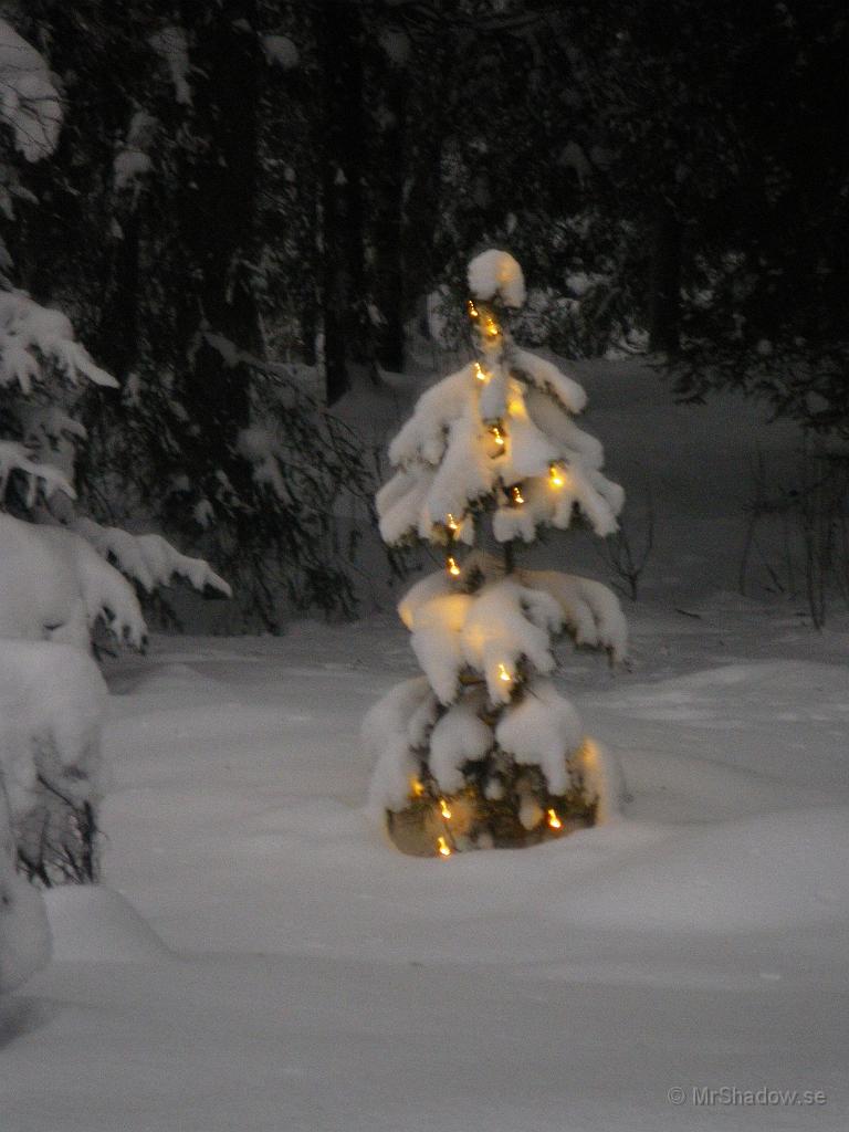 IMGP5453.jpg - Fint när det ligger fin nysnö och så lyser det lite