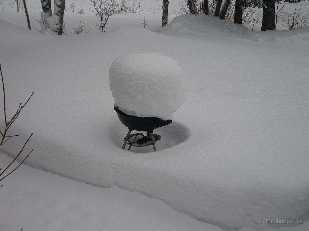 IMGP5578.JPG - Snöhättan på grillen fortsätter att växa..