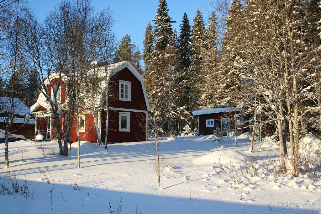 IMG_1505.JPG - 2011-01-09 Men idag orkar solen skina ordentligt och det är riktigt fint väder.