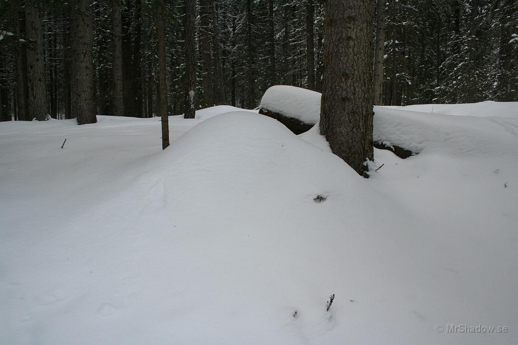 IMG_1585.JPG - Myrstacken måste man ju veta om, annars är det ju bara en snöhög..