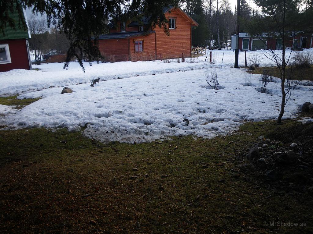 IMGP5965.JPG - Men fortfarande syns inte trädgårdslandet..
