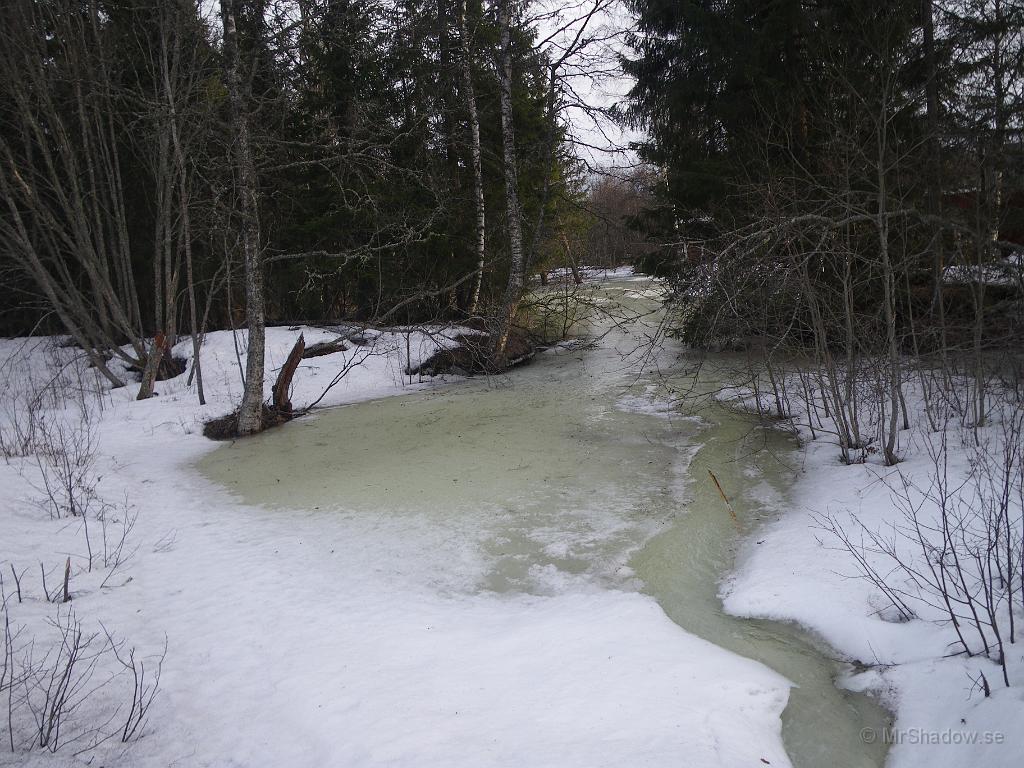 IMGP5968.JPG - Även nedströms landsvägen, så rinner det nu vatten ovanpå isen..