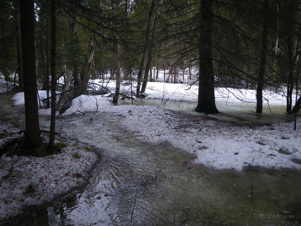 IMGP5972.JPG - Översvämning är det i området norr om landsvägen.