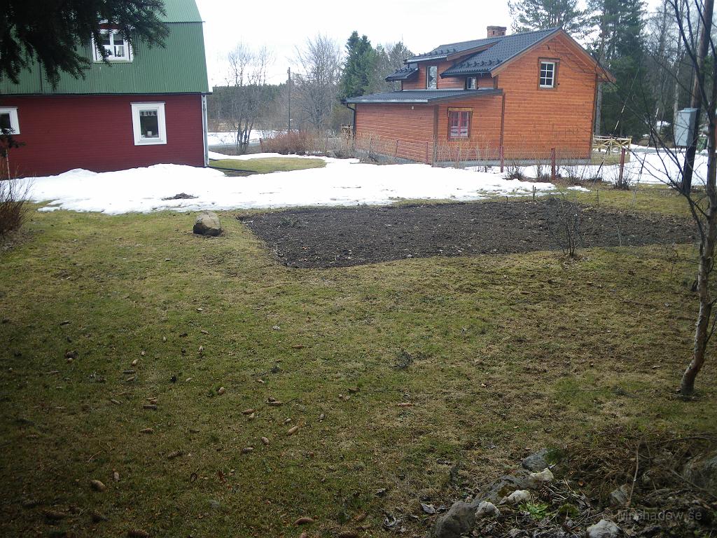 IMGP5999.JPG - Nu har trädgårdslandet kommit fram och snart syns hela gräsmattan också..