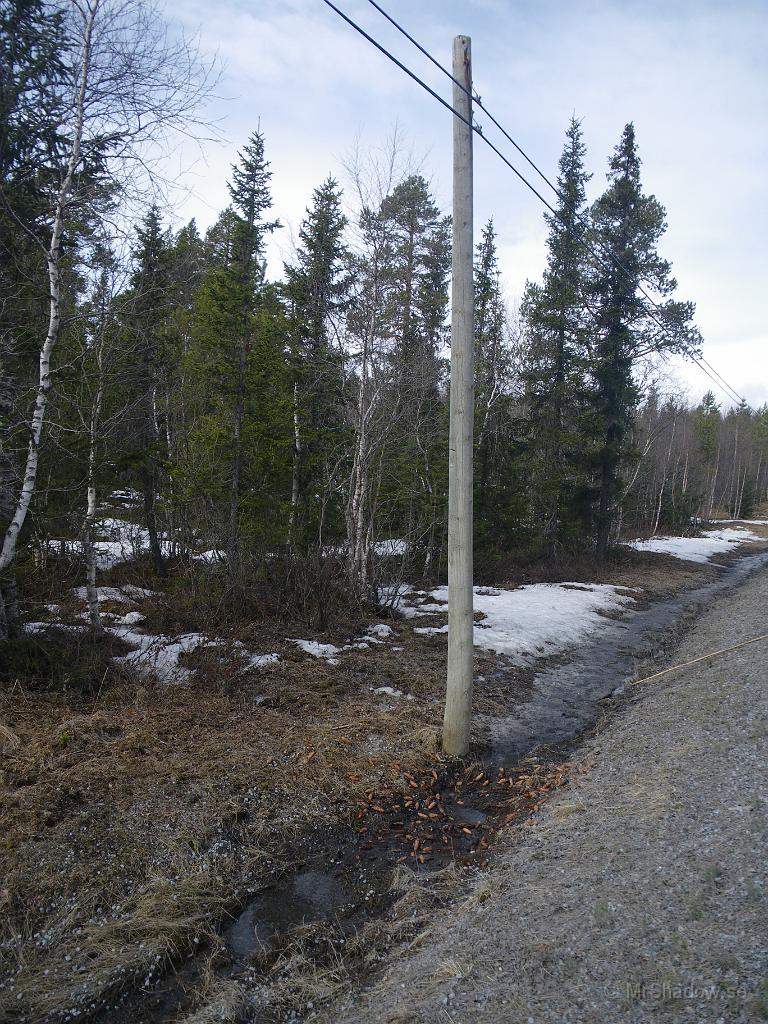 IMGP6005.jpg - Ser märkligt ut det där.. Visste inte att telefonstolpar också har kottar...