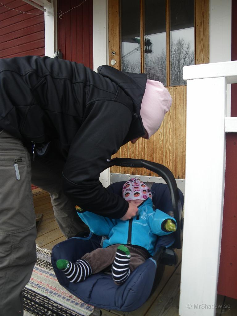 IMGP6009.jpg - Dags för Tuva att åka hem igen..