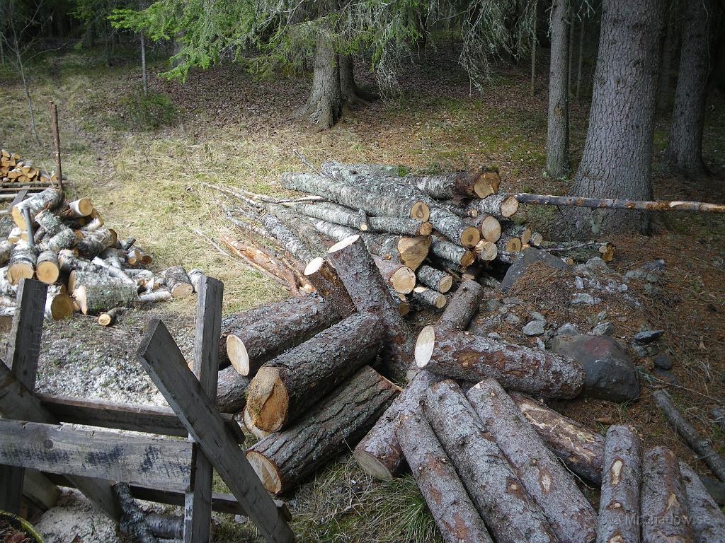 IMGP6042.JPG - Ett så kallat "logg foto"...  Varit en sväng och städat i skogen. Både gran och furu som torkat på rot, samt en del björk av medioker kvalité. Brinner säkert bra ändå..