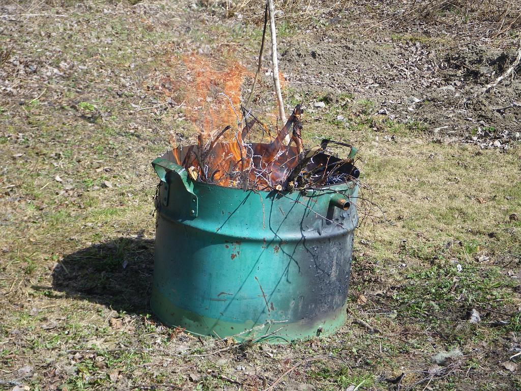 IMGP6052.JPG - Eldar upp lite ris efter höst och vårstädningen på tomten.