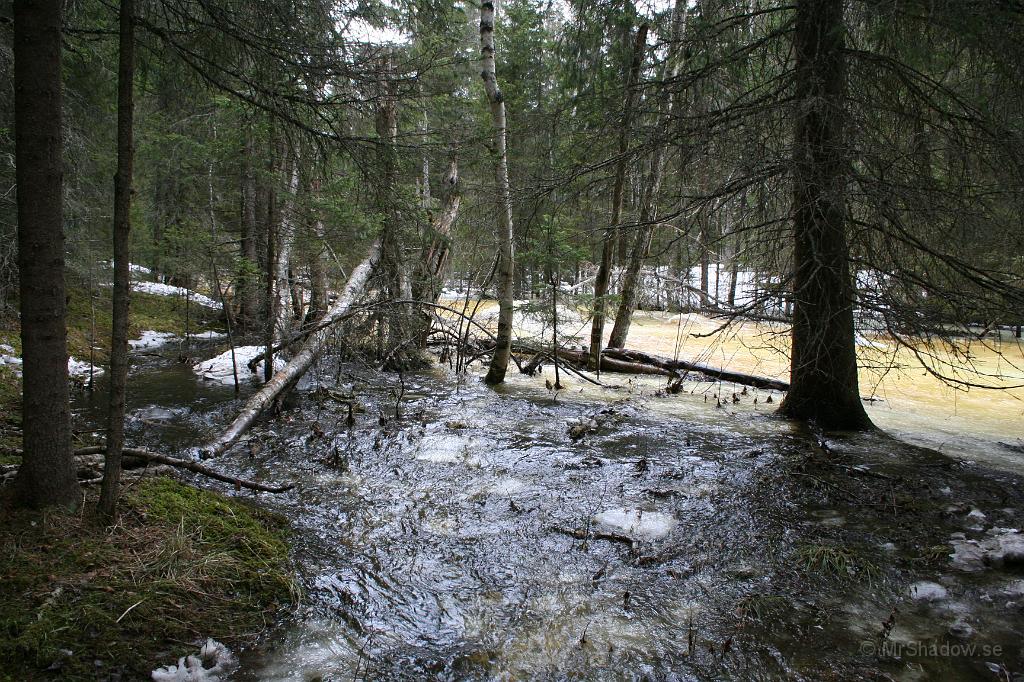 IMG_1931.JPG - Översvämning i skogen..
