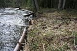 IMG_2030