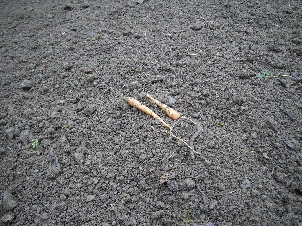 IMGP6130.JPG