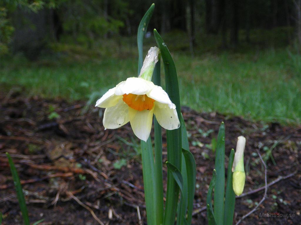 IMGP6157.JPG