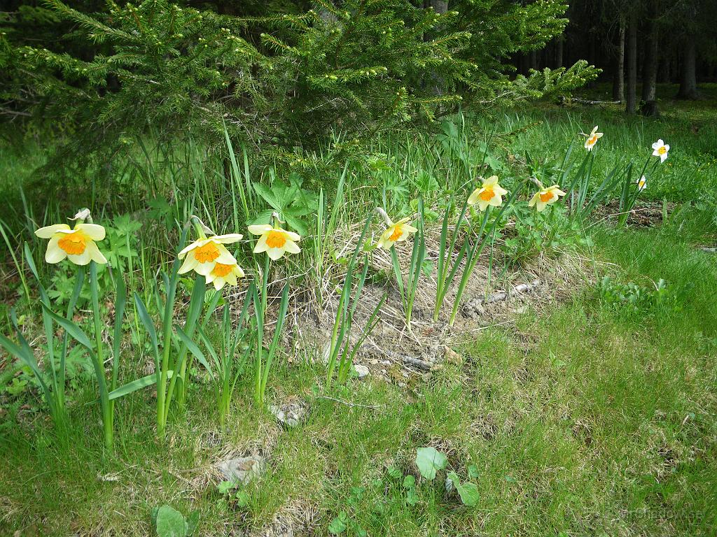 IMGP6261.JPG
