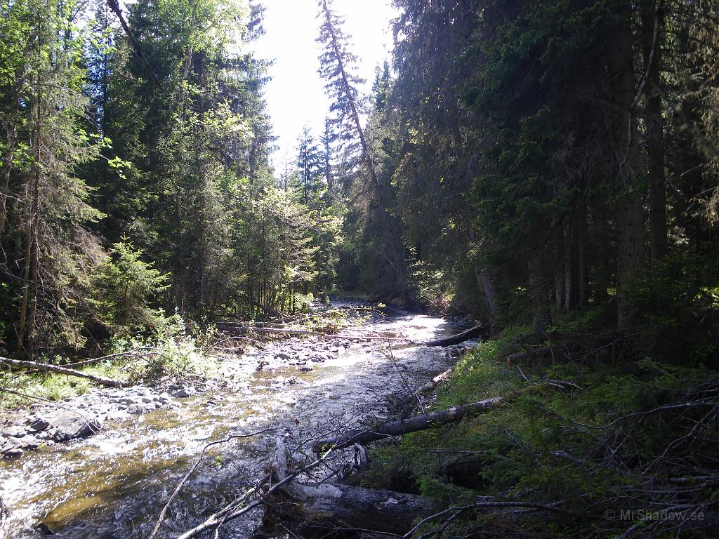 IMGP6390.JPG