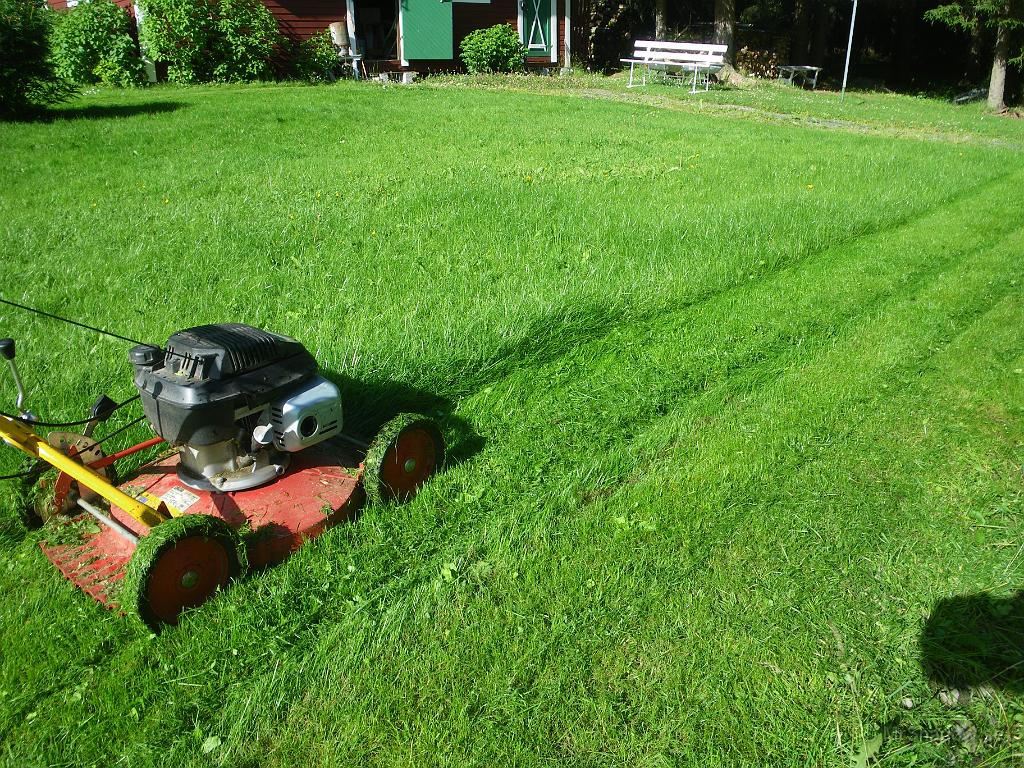 IMGP6833.JPG - Gräset växer ordentligt på en vecka..