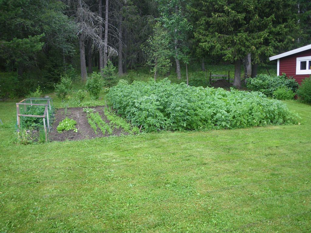 IMGP6892.JPG - Här också..